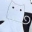 White cat